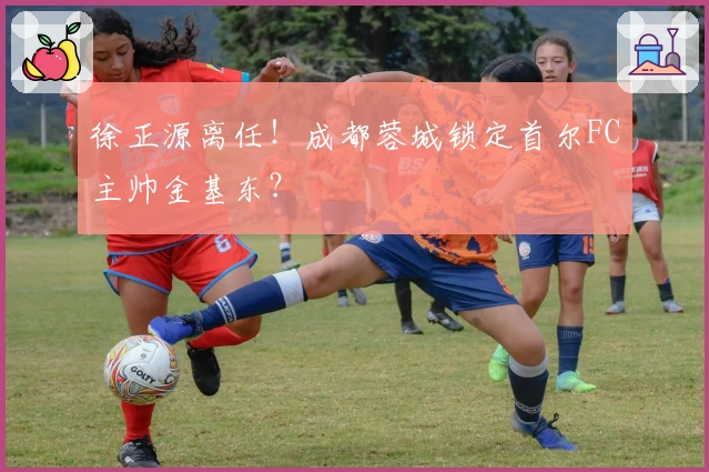 徐正源离任！成都蓉城锁定首尔FC主帅金基东？