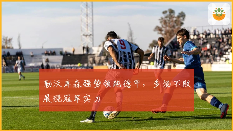 勒沃库森强势领跑德甲，多场不败展现冠军实力